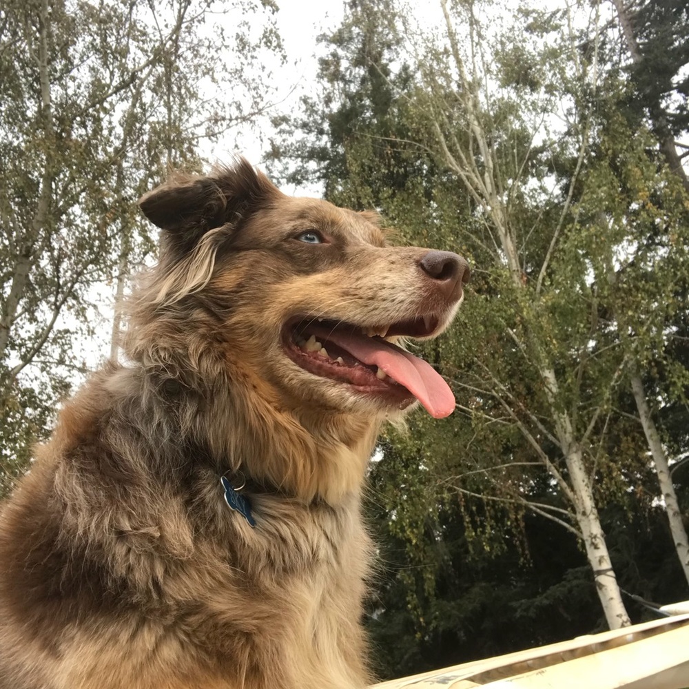 Meet your Posher, Cady